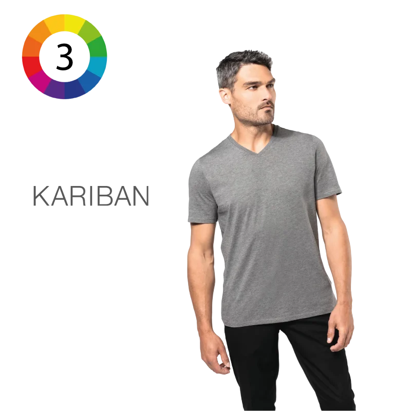 T-shirt Supima® col V manches courtes homme
