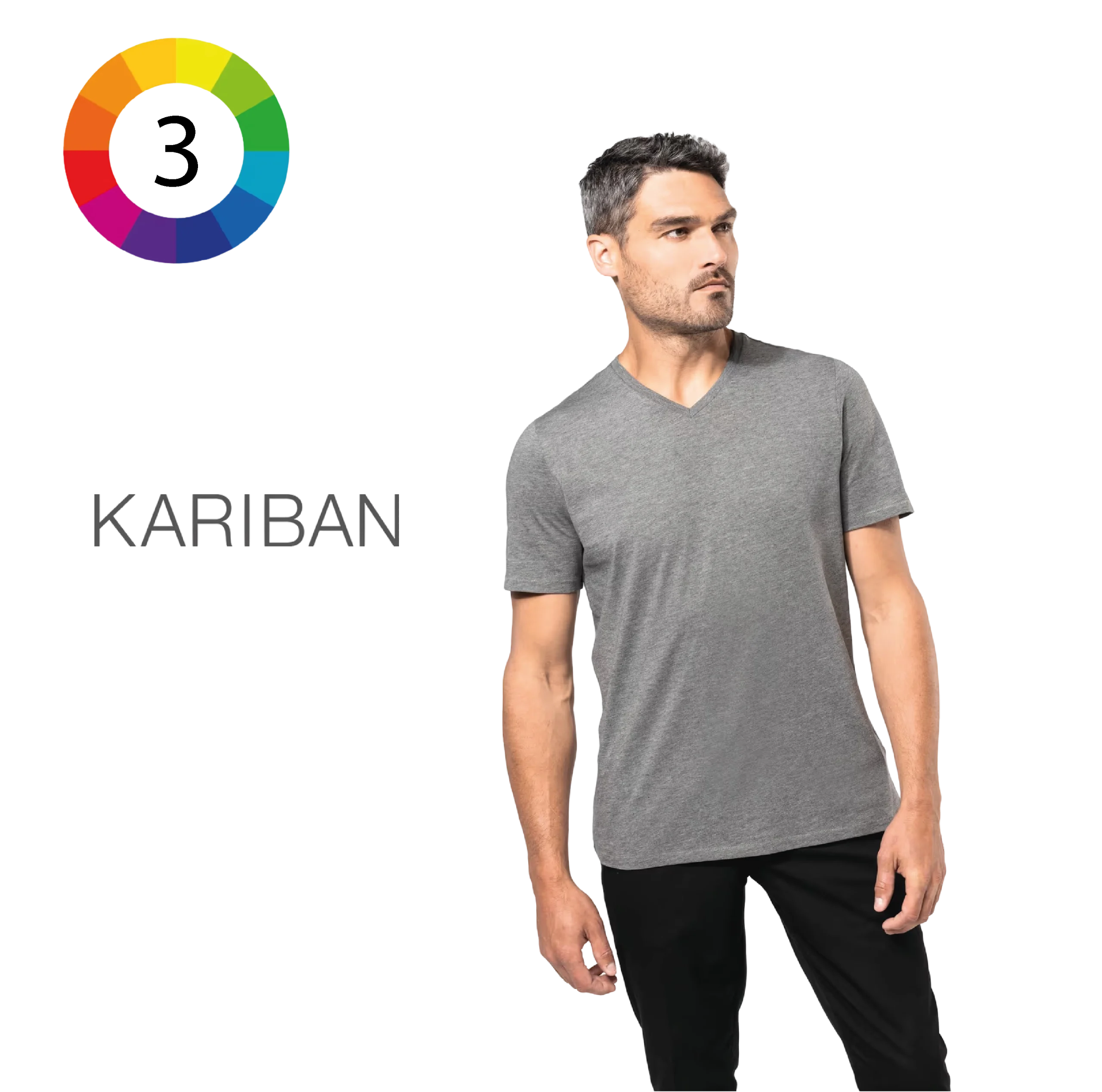T-shirt Supima® col V manches courtes homme