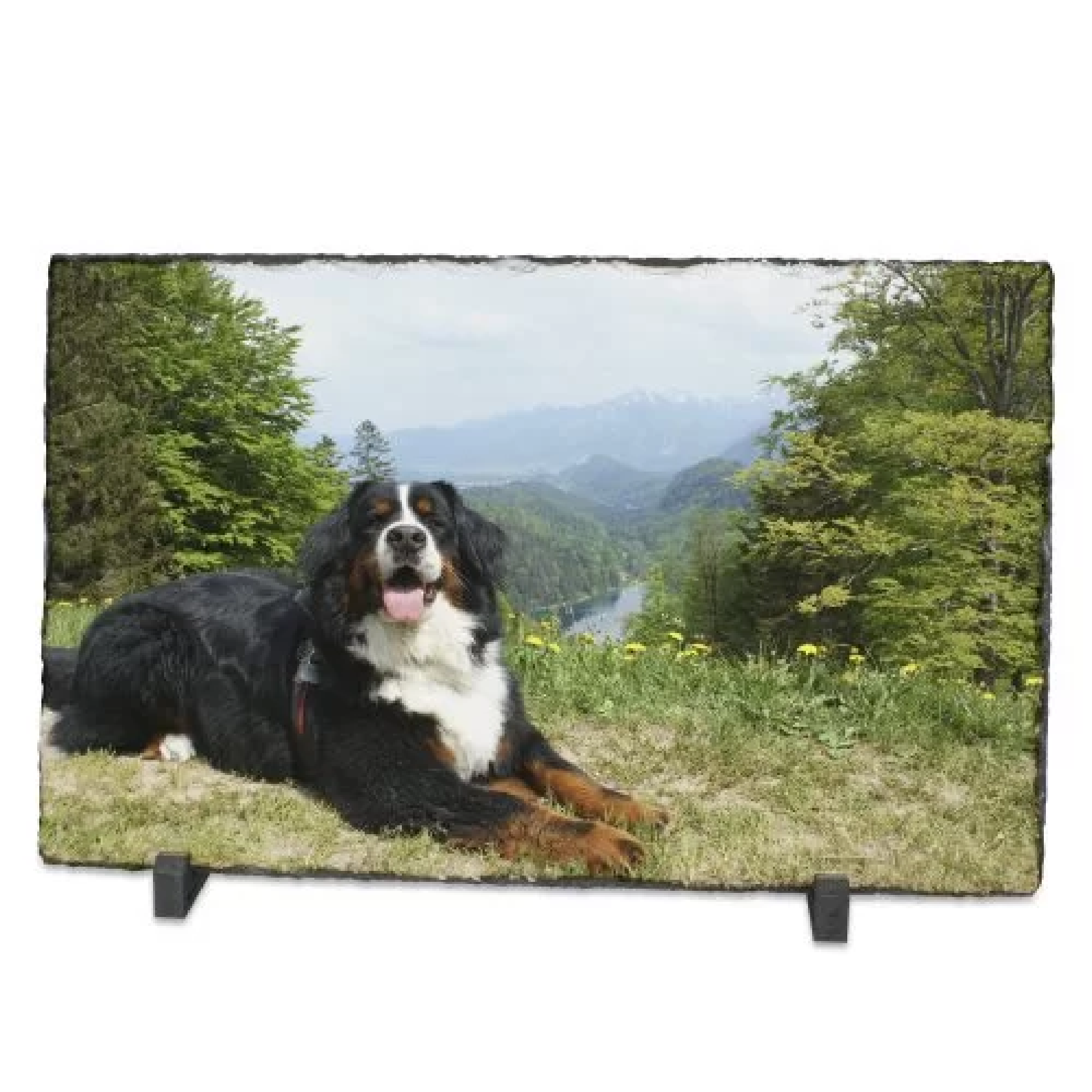 Sublistar® Panneau en ardoise rectangulaire