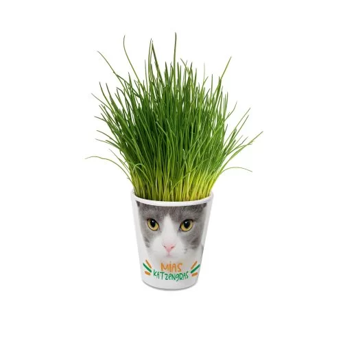 Pot de fleurs conique avec un petit trou au fond – Image 2
