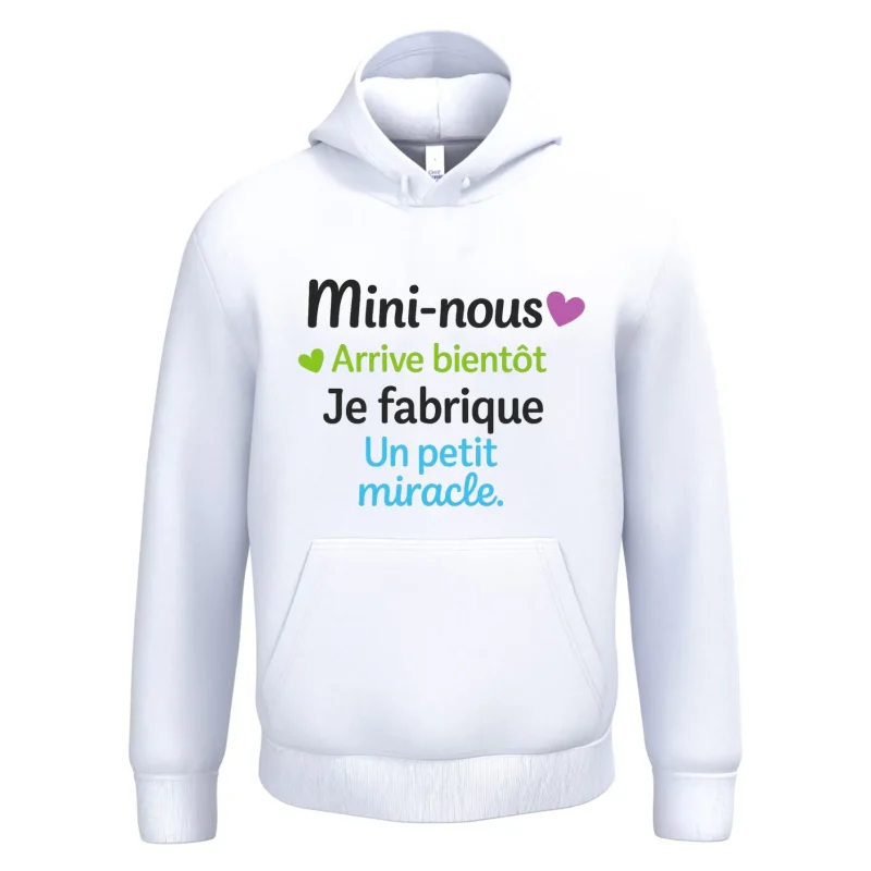 IB402 - Pull unisexe à capuche T007