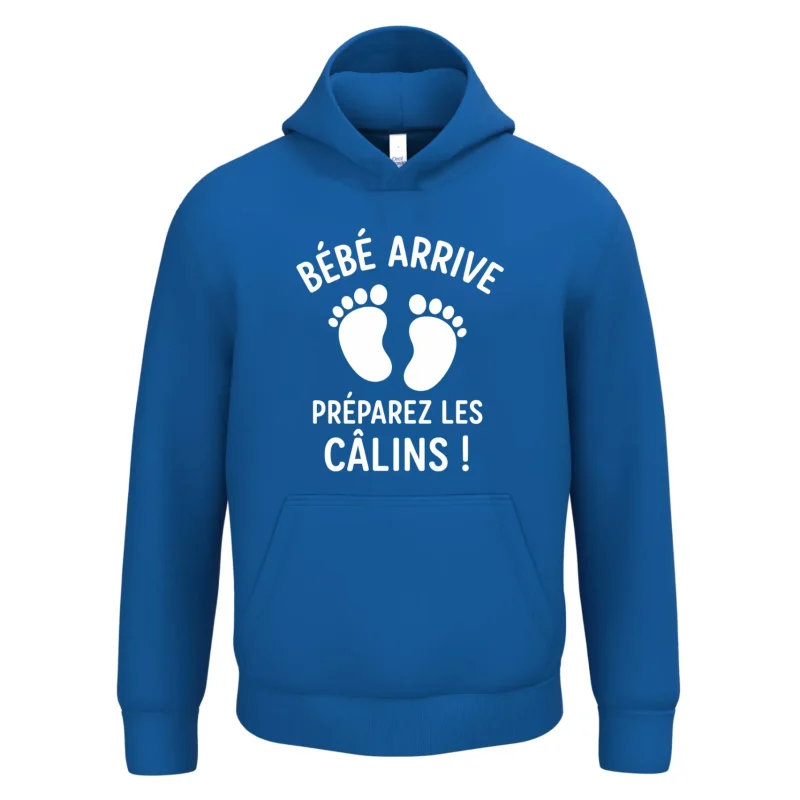 IB402 - Pull unisexe à capuche T012